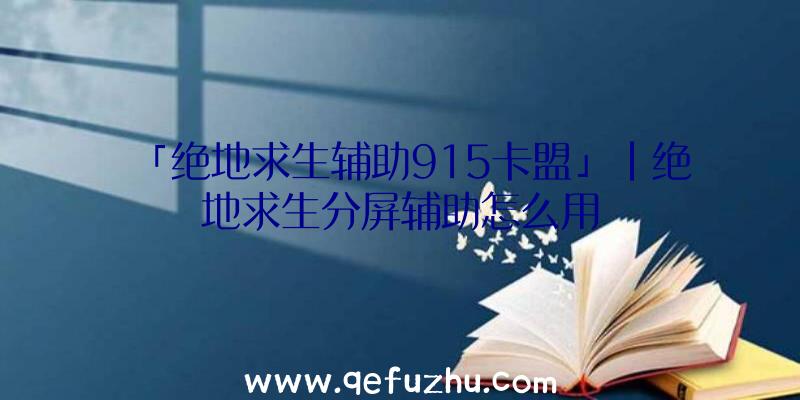 「绝地求生辅助915卡盟」|绝地求生分屏辅助怎么用